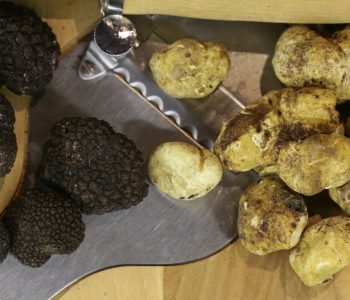 black-and-white-truffle-mushroom
