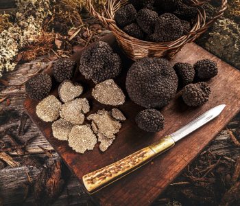black-truffle-with-knife