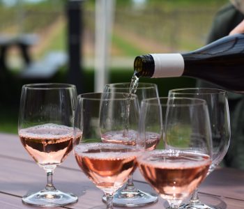 persons-hand-pouring-rose-wine-into-multiple-glasses (1)
